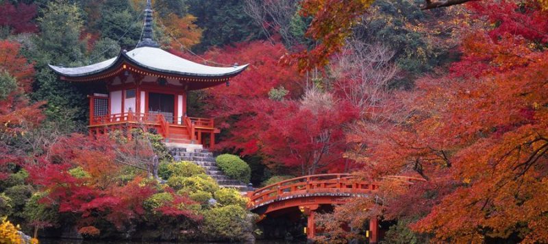 ¿por Qué Viajar A Japón En Otoño Sildavia Viajes